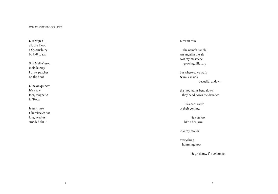 Siglio-UDP-Songs-of-S-Seydel-8.jpg