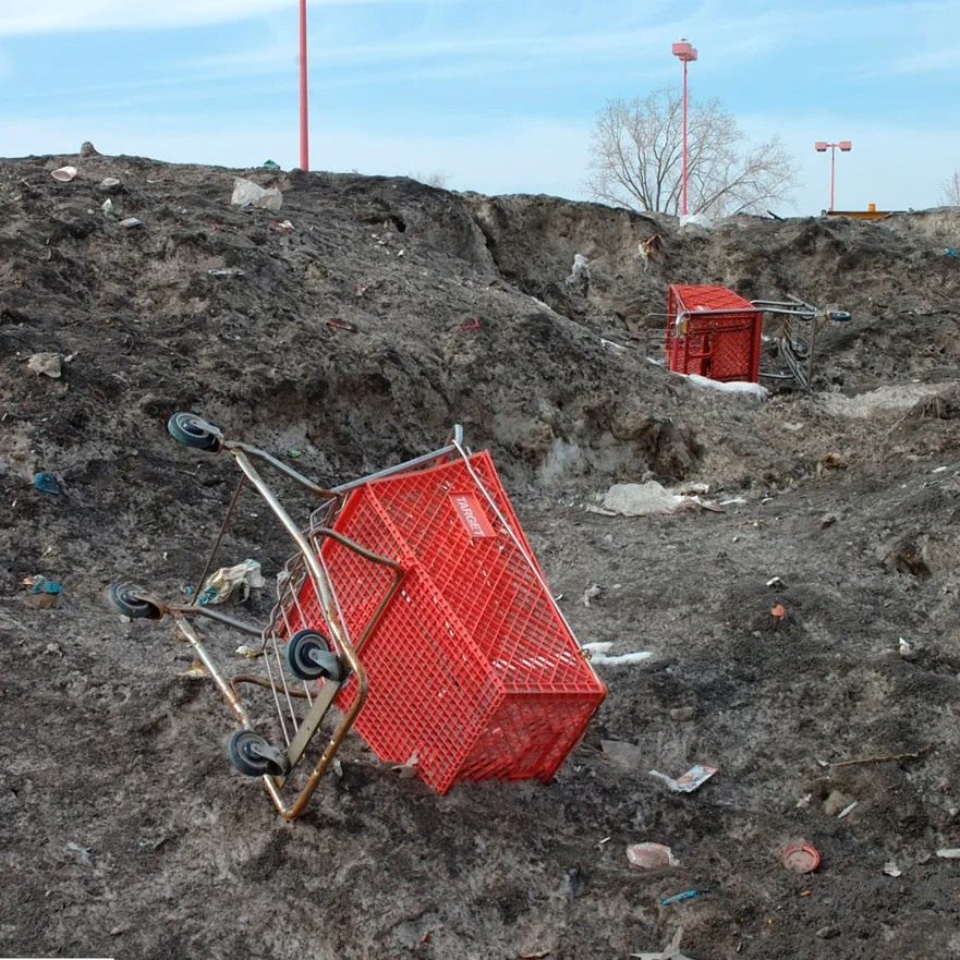 The Stray Shopping Cart Project