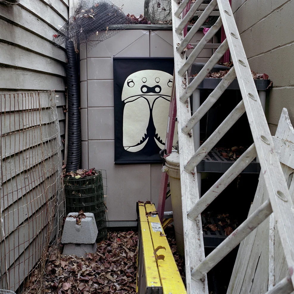 Secondary Occupants / Animals & Architecture