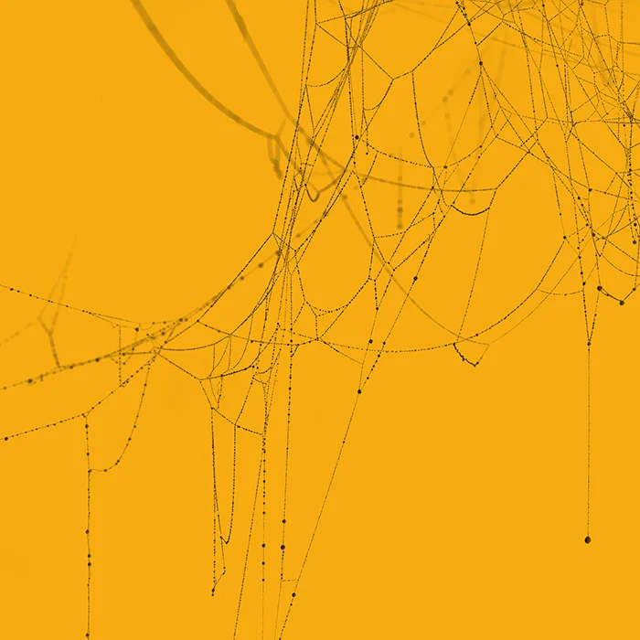 Recent Exhibition Views