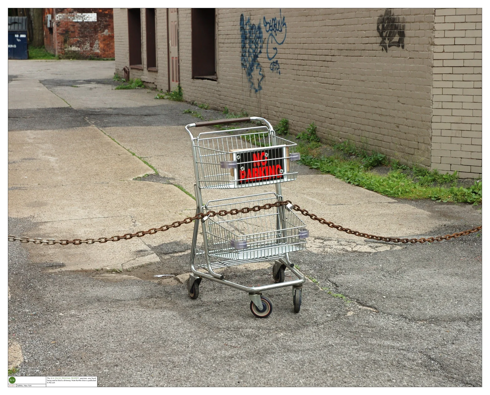 The Stray Shopping Cart Project — Montague Projects