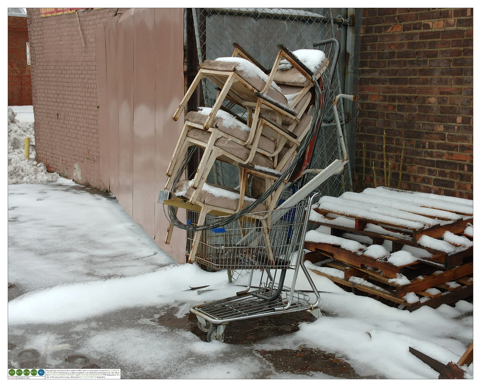 The Stray Shopping Cart Project — Montague Projects