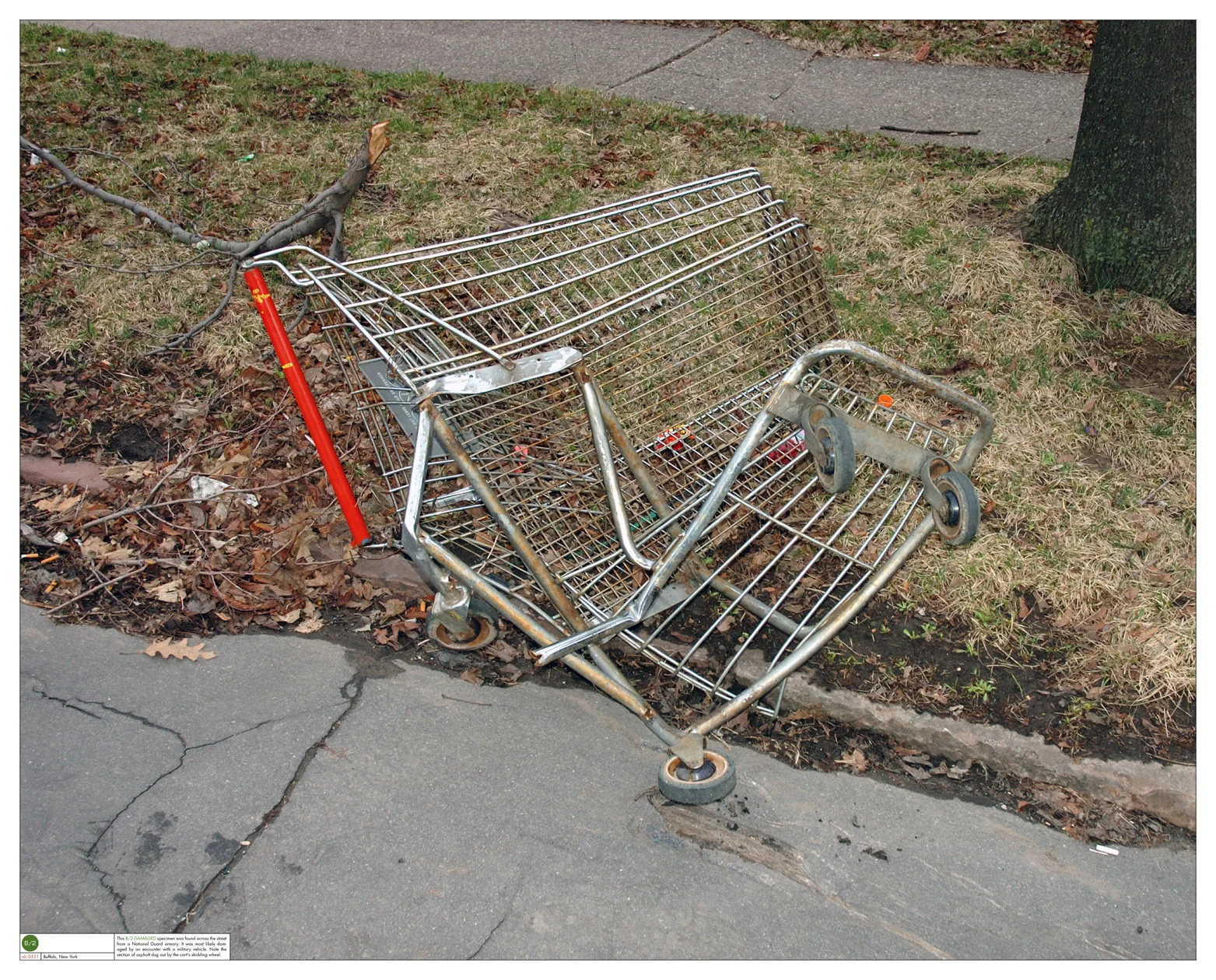 The Stray Shopping Cart Project — Montague Projects