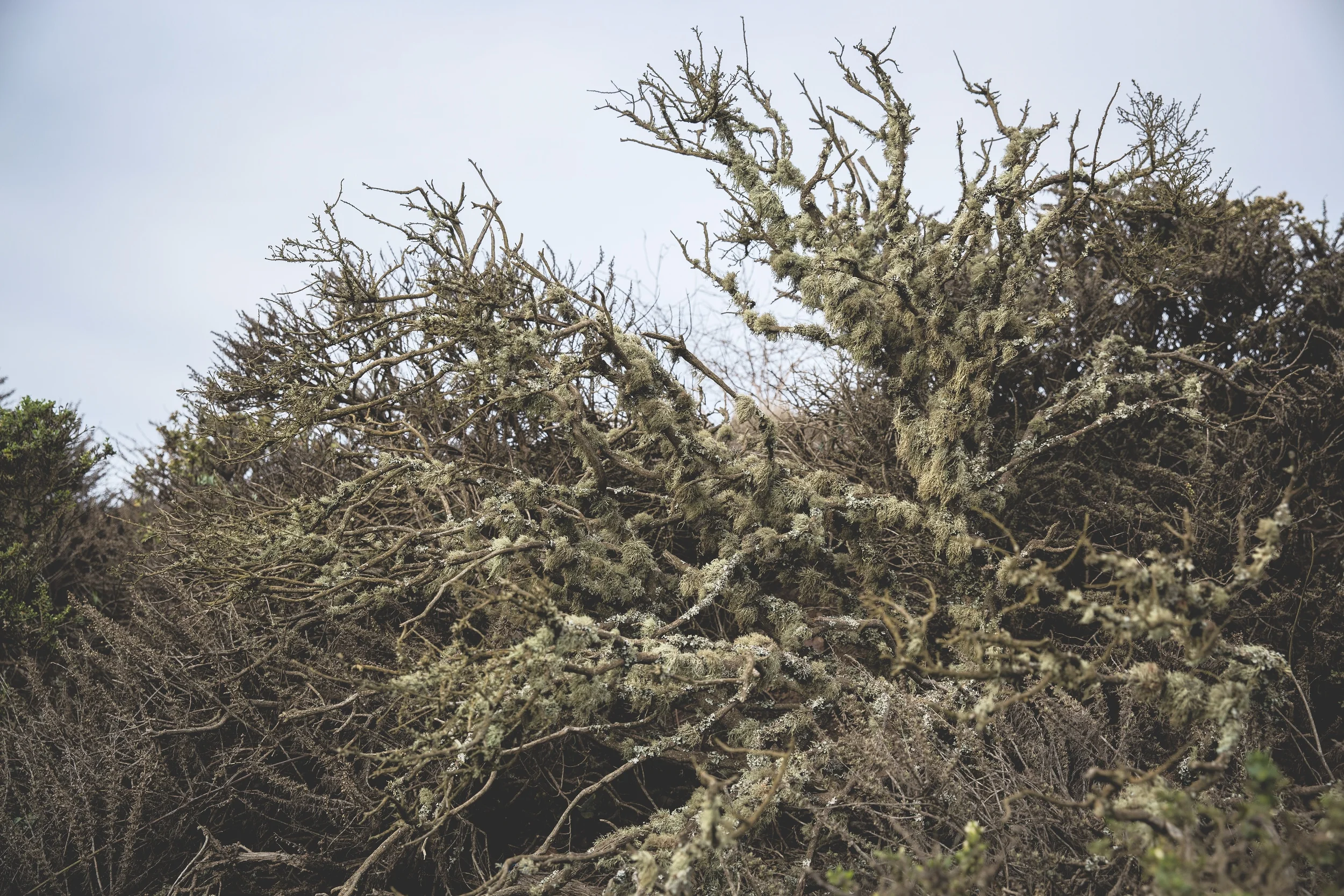 Untraditional Photography