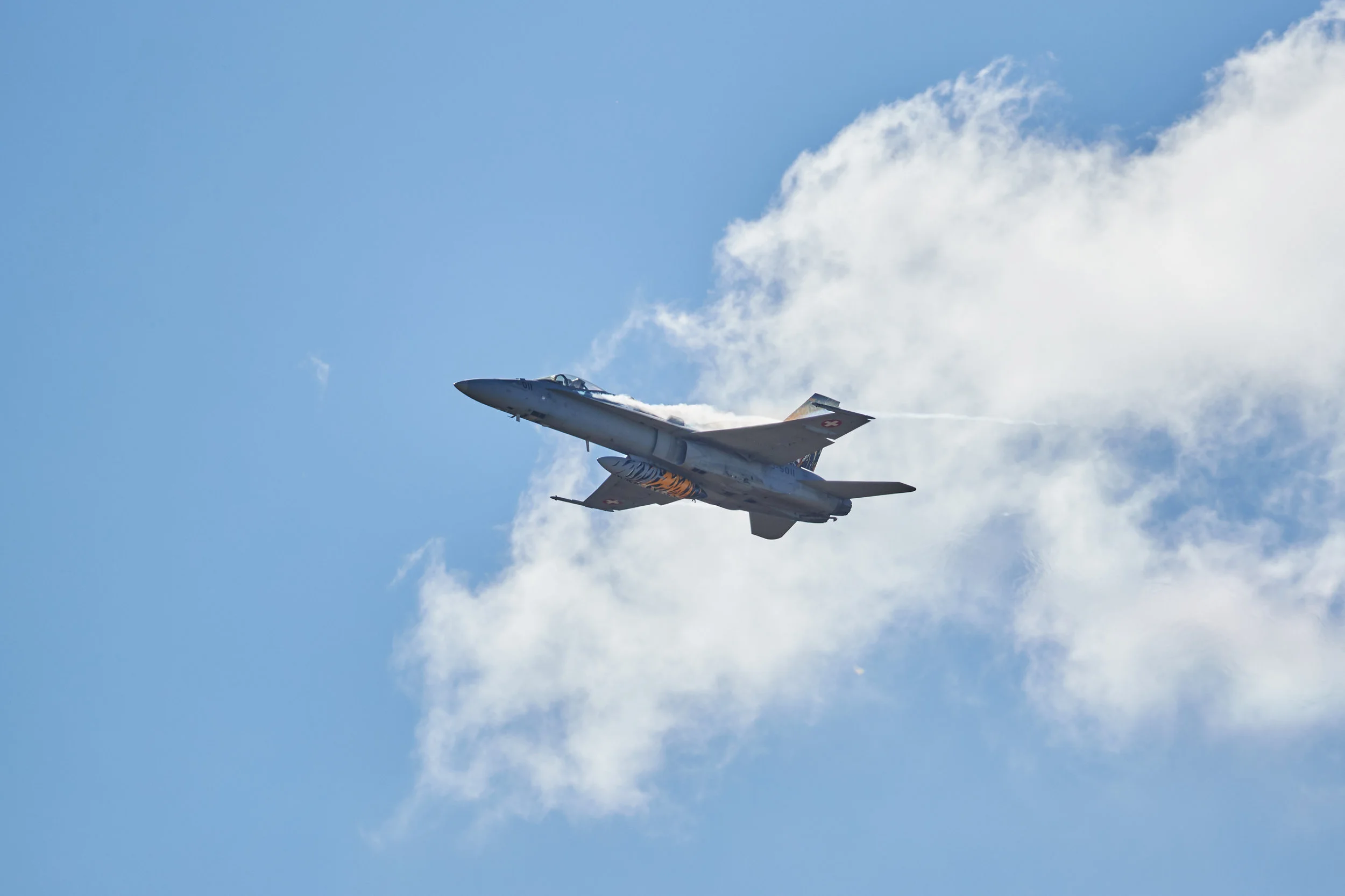 D72I4755.jpg