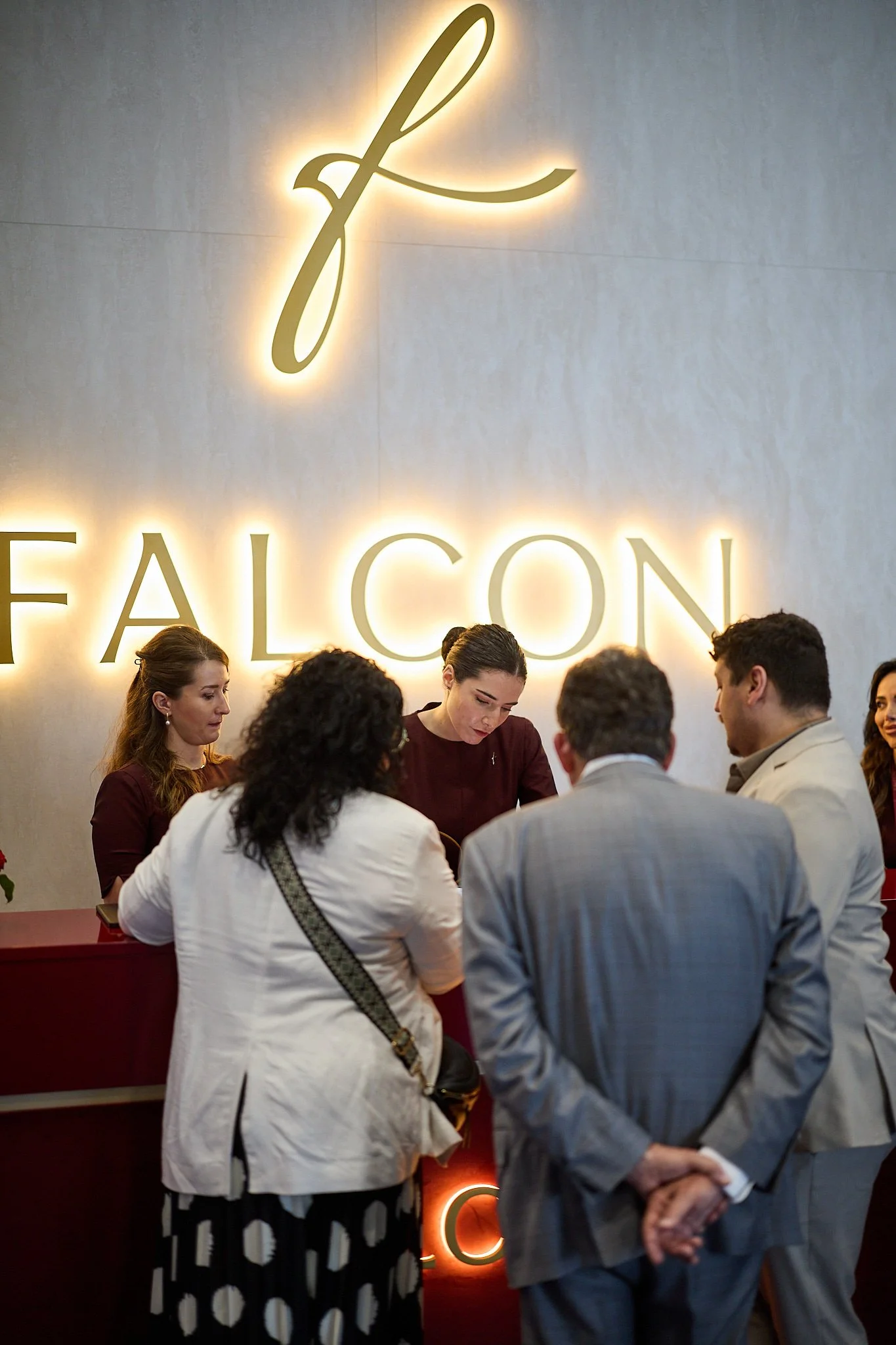 Falcon_WebRes 105.jpg