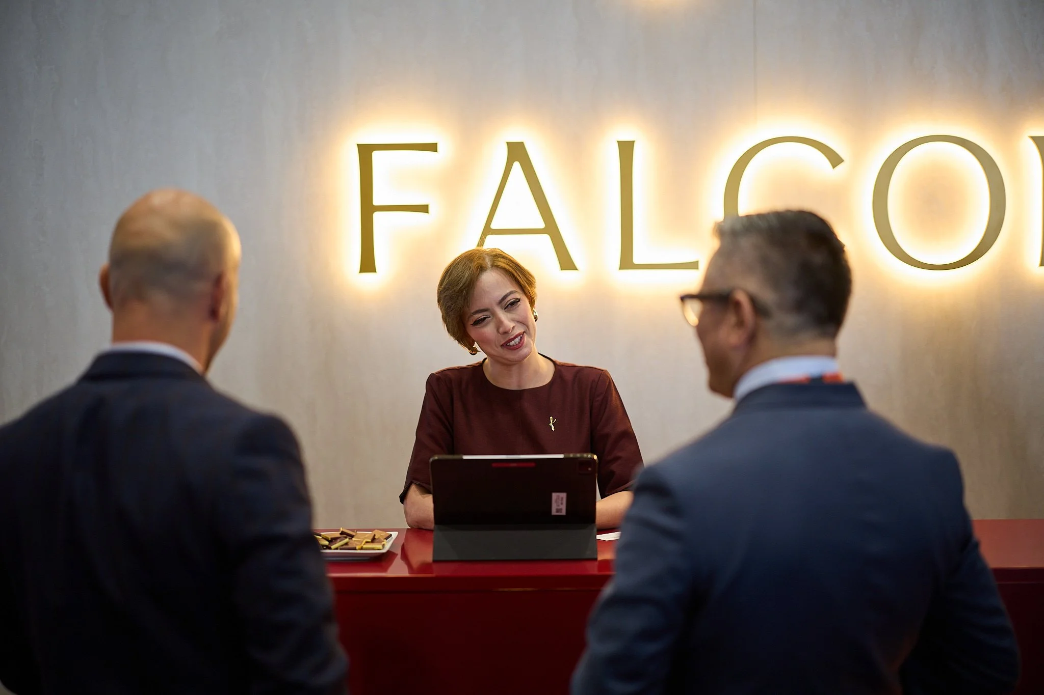 Falcon_WebRes 207.jpg