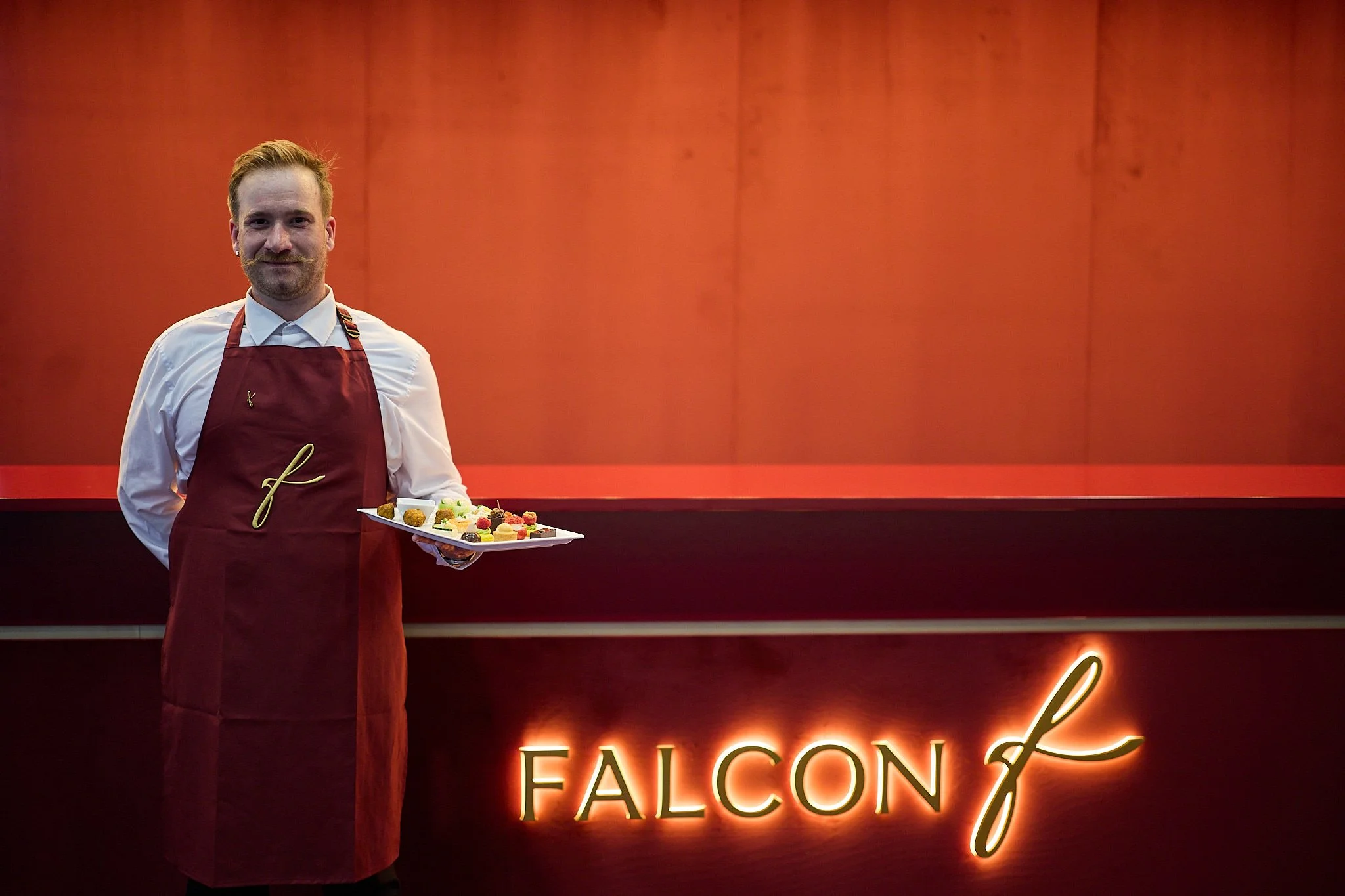 Falcon_WebRes 244.jpg