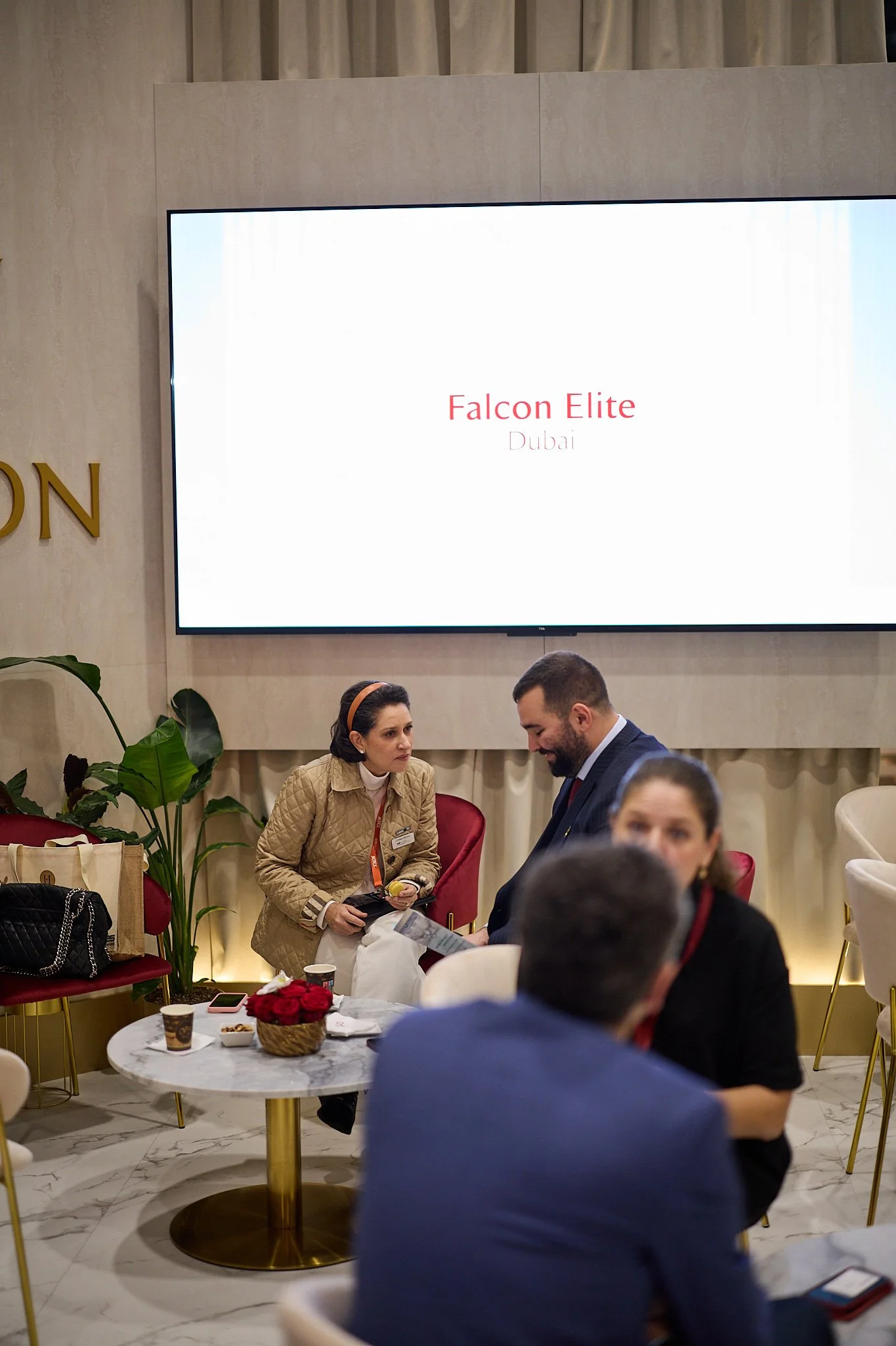 Falcon_WebRes 595.jpg