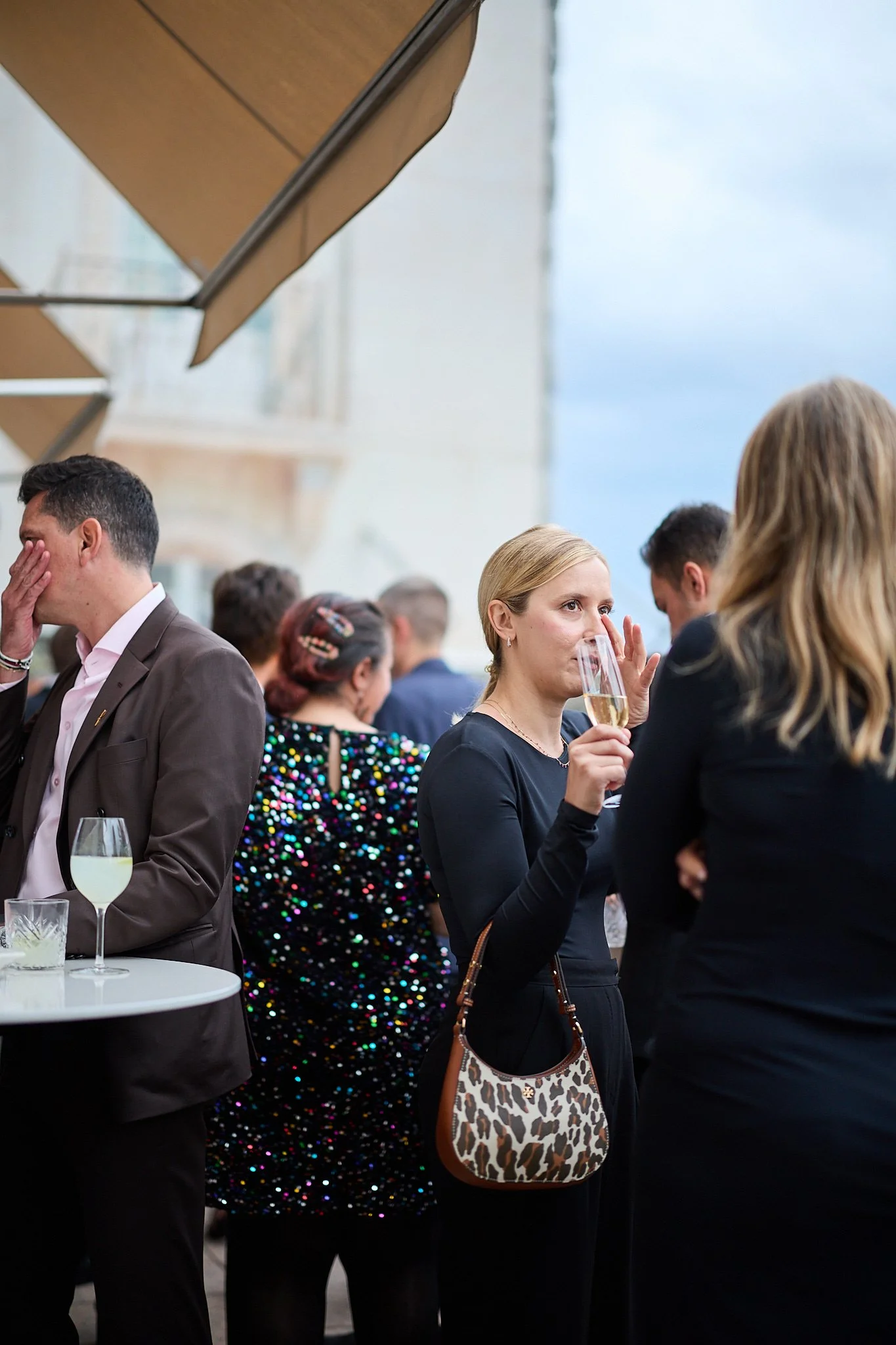 Falcon_WebRes 780.jpg