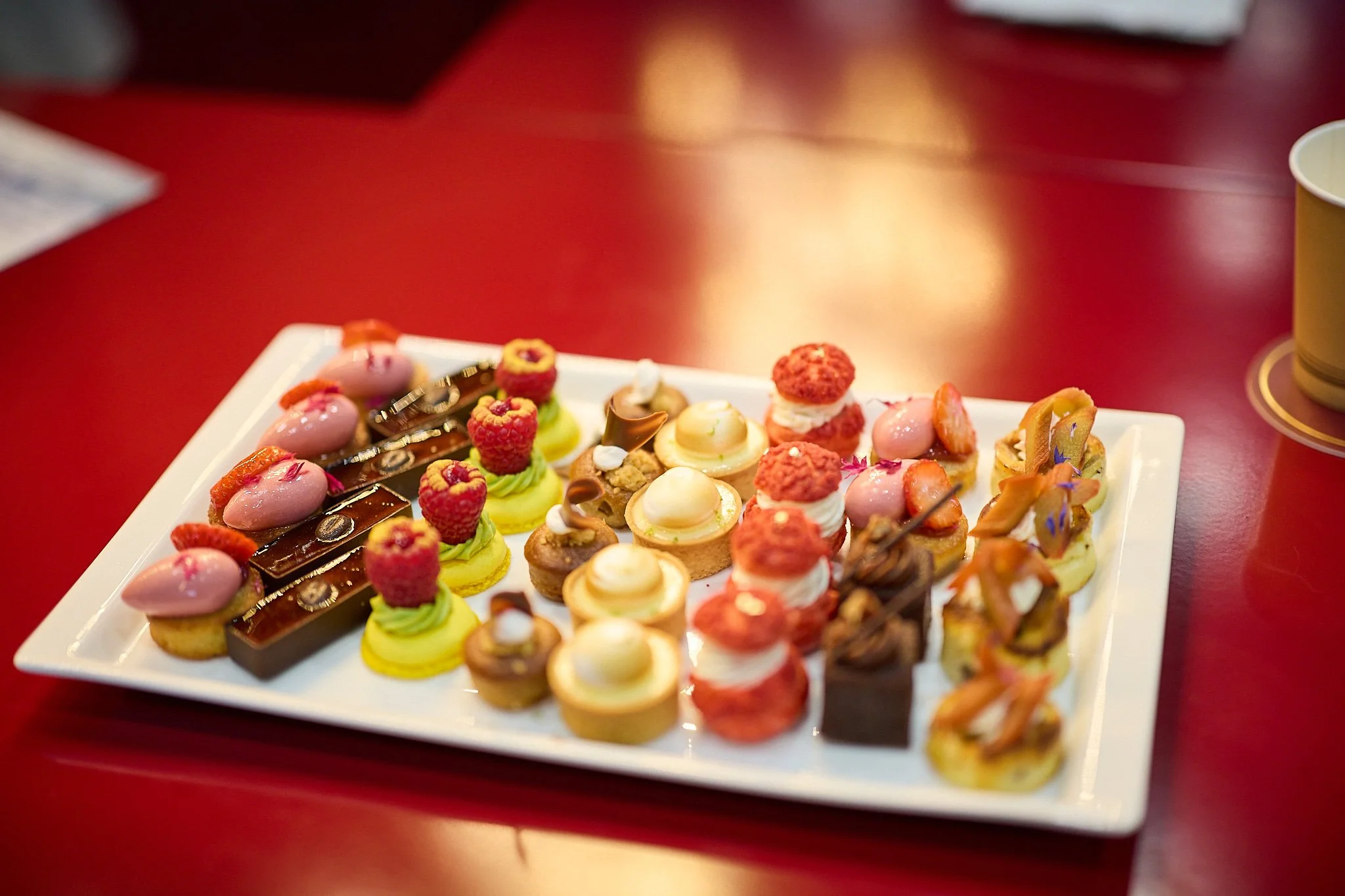 Falcon_WebRes 1063.jpg