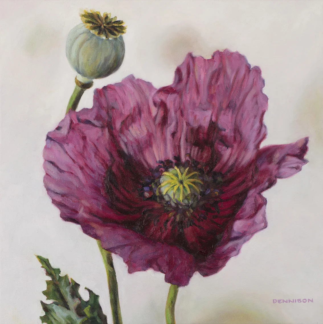 Oriental Poppy Oil on Canvas, 36cm x 36cm