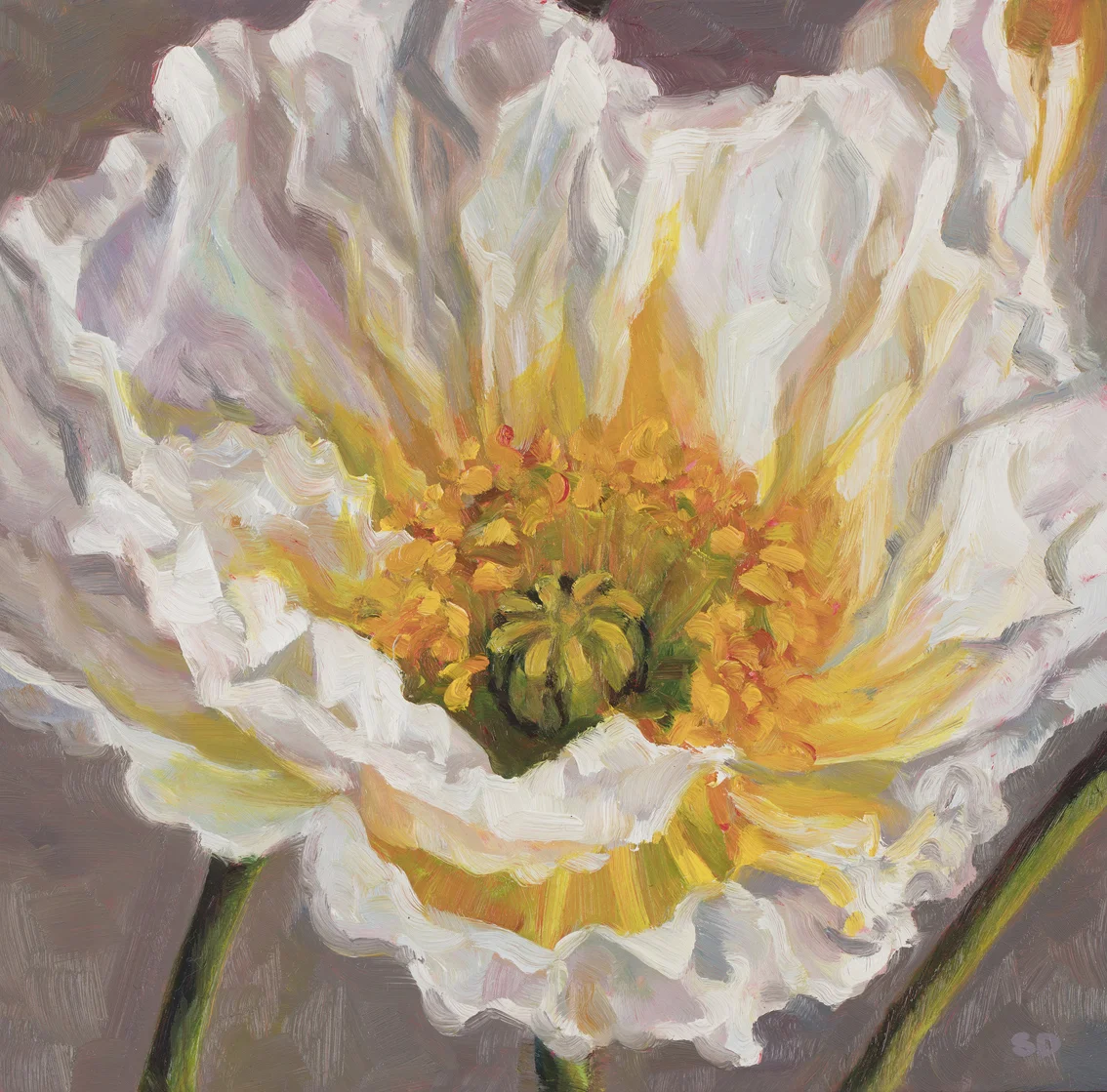 White PoppyOil on Panel, 20cm x 20cm