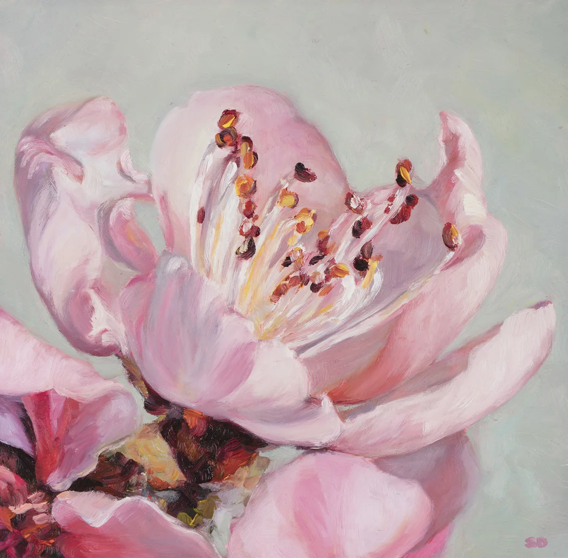 Pink Peach BlossomOil on Panel, 20cm x 20cm