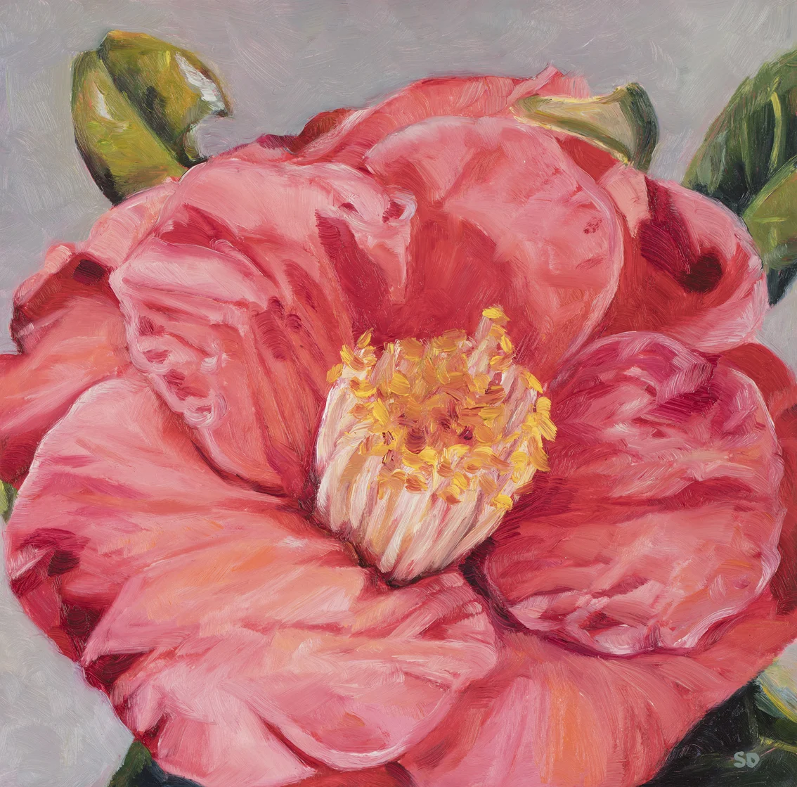 Lila's CamelliaOil on Panel, 20cm x 20cm