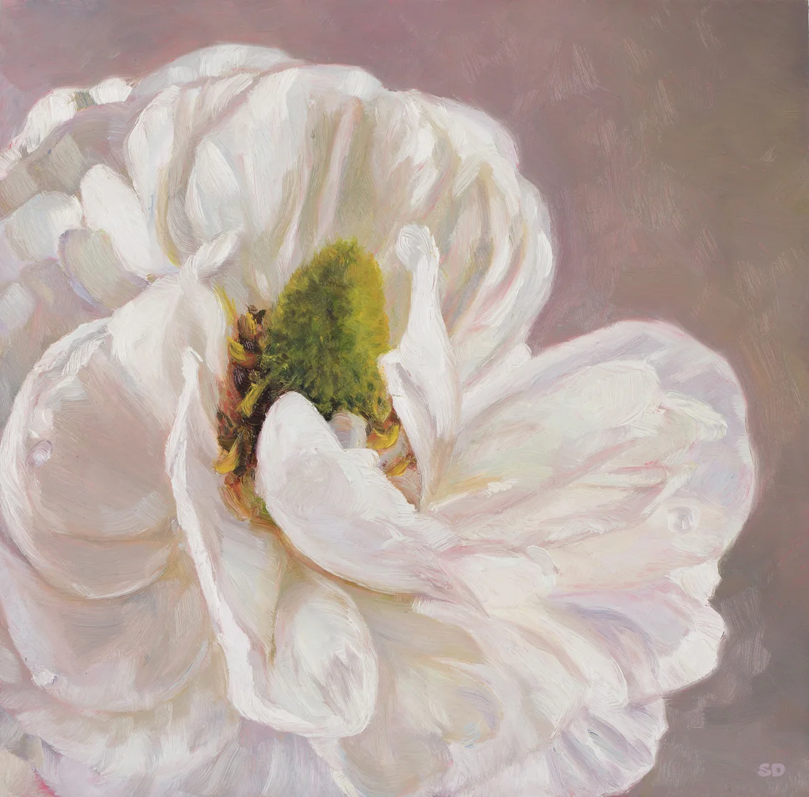 RanunculusOil on Panel, 20cm x 20cm