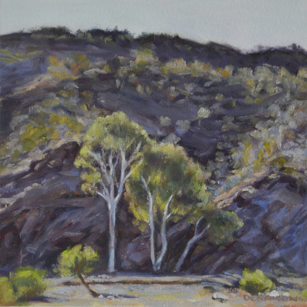 Flinders Ranges 15Oil on Paper, framed, 15.9 x 15.9cm, $790