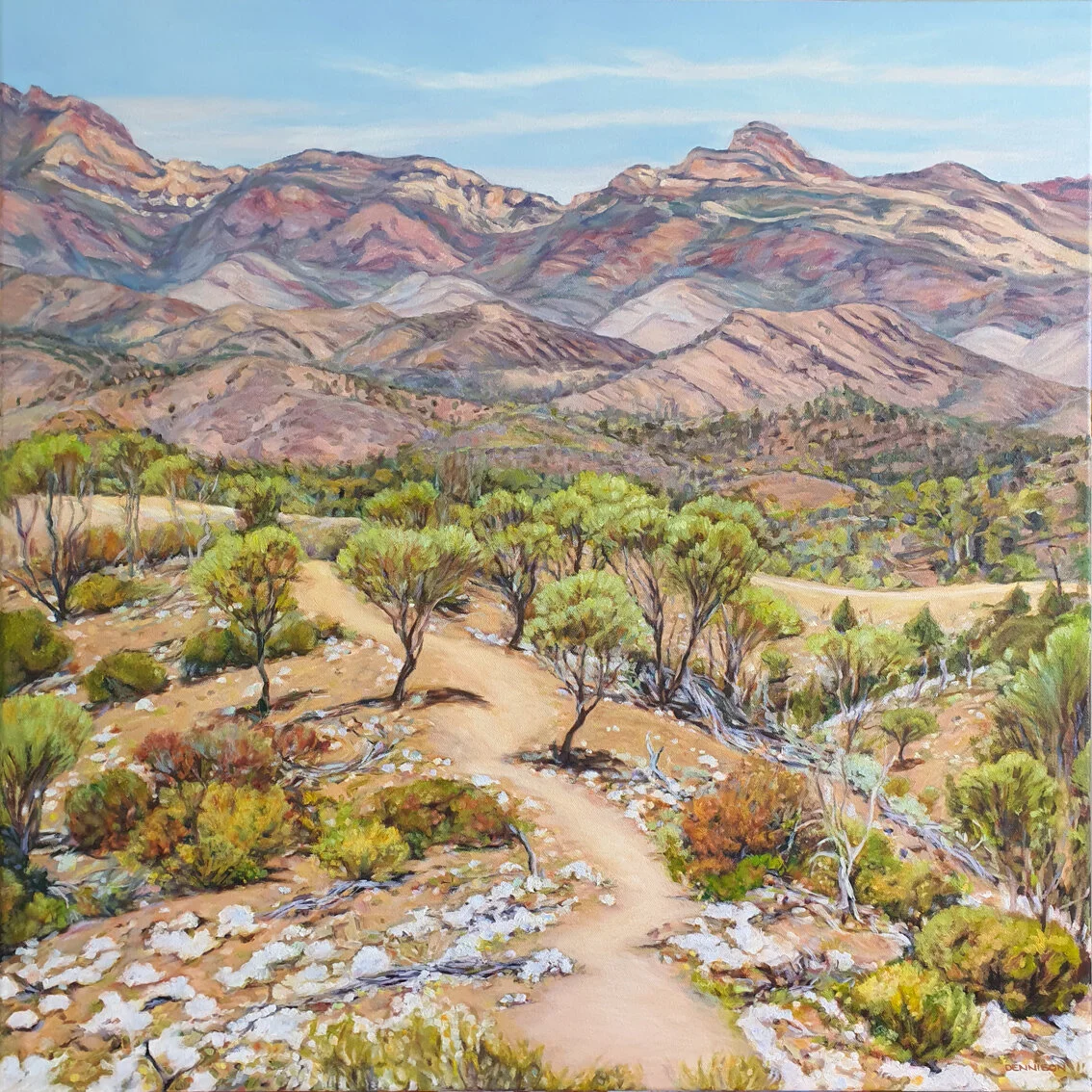 Razorback Lookout, Flinders RangesOil on Canvas, 70 x 70cm, $2750