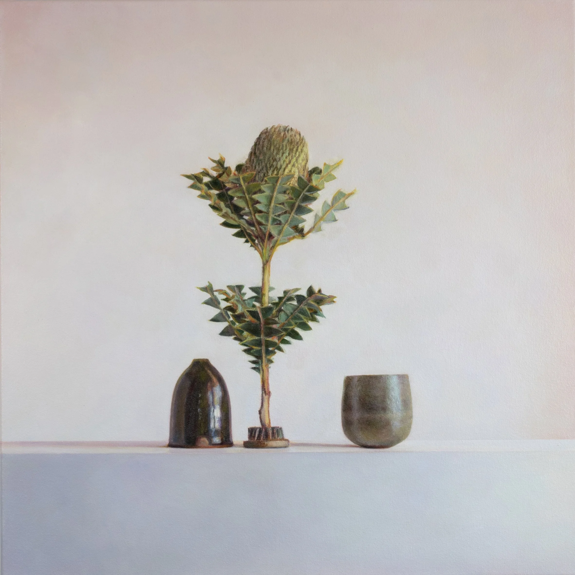 Dennison Samantha_Banksia baxteri and heathland vessels_2026_Oil on canvas_60 x 60cm_HR.jpg