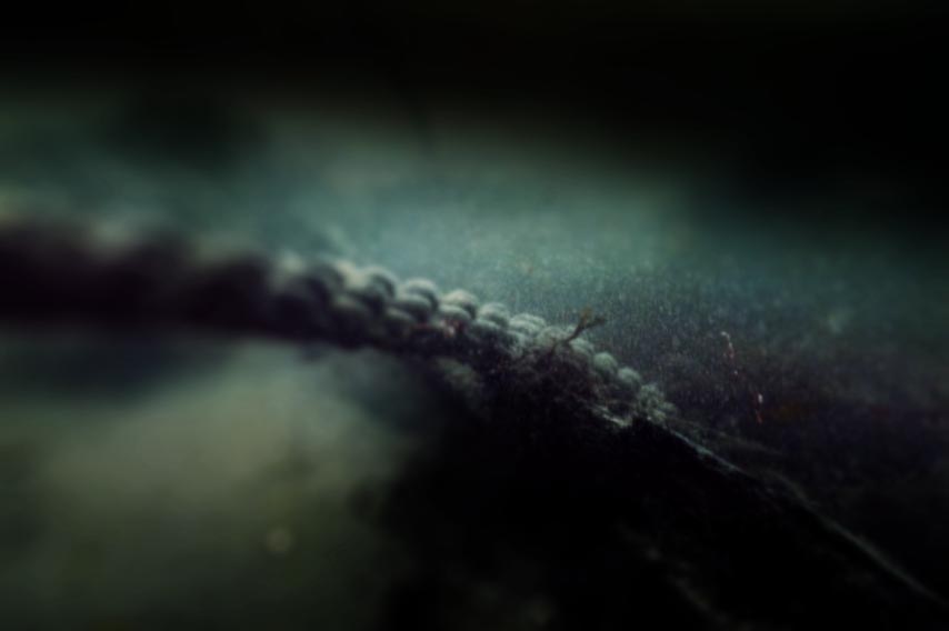 large cable rope underwater.jpg