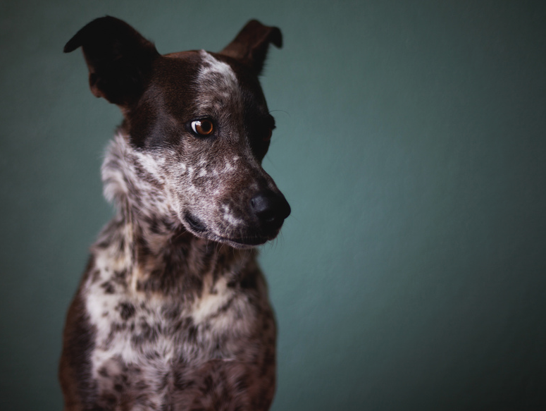 Screen Shot 2015-05-15 at 1.11.26 AM.png