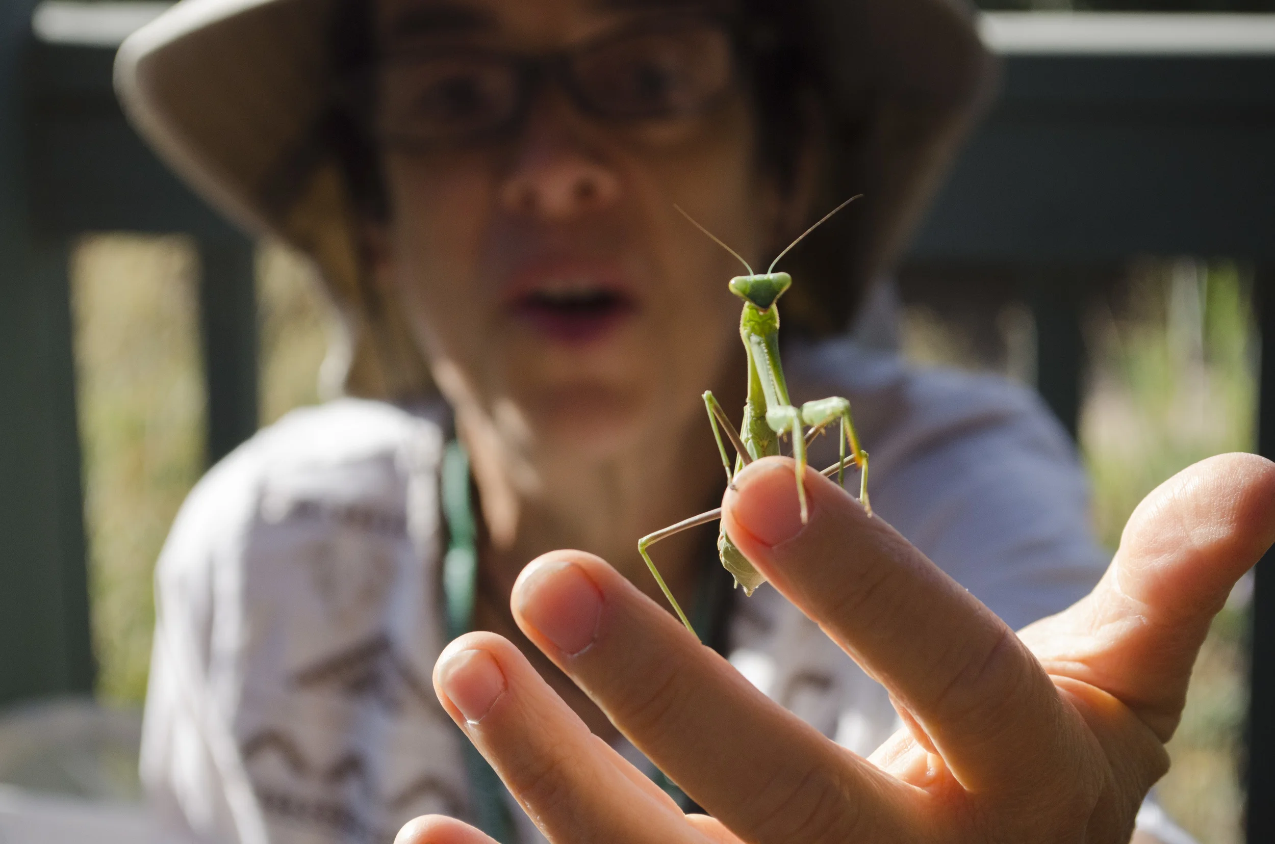 Bugs04.jpg