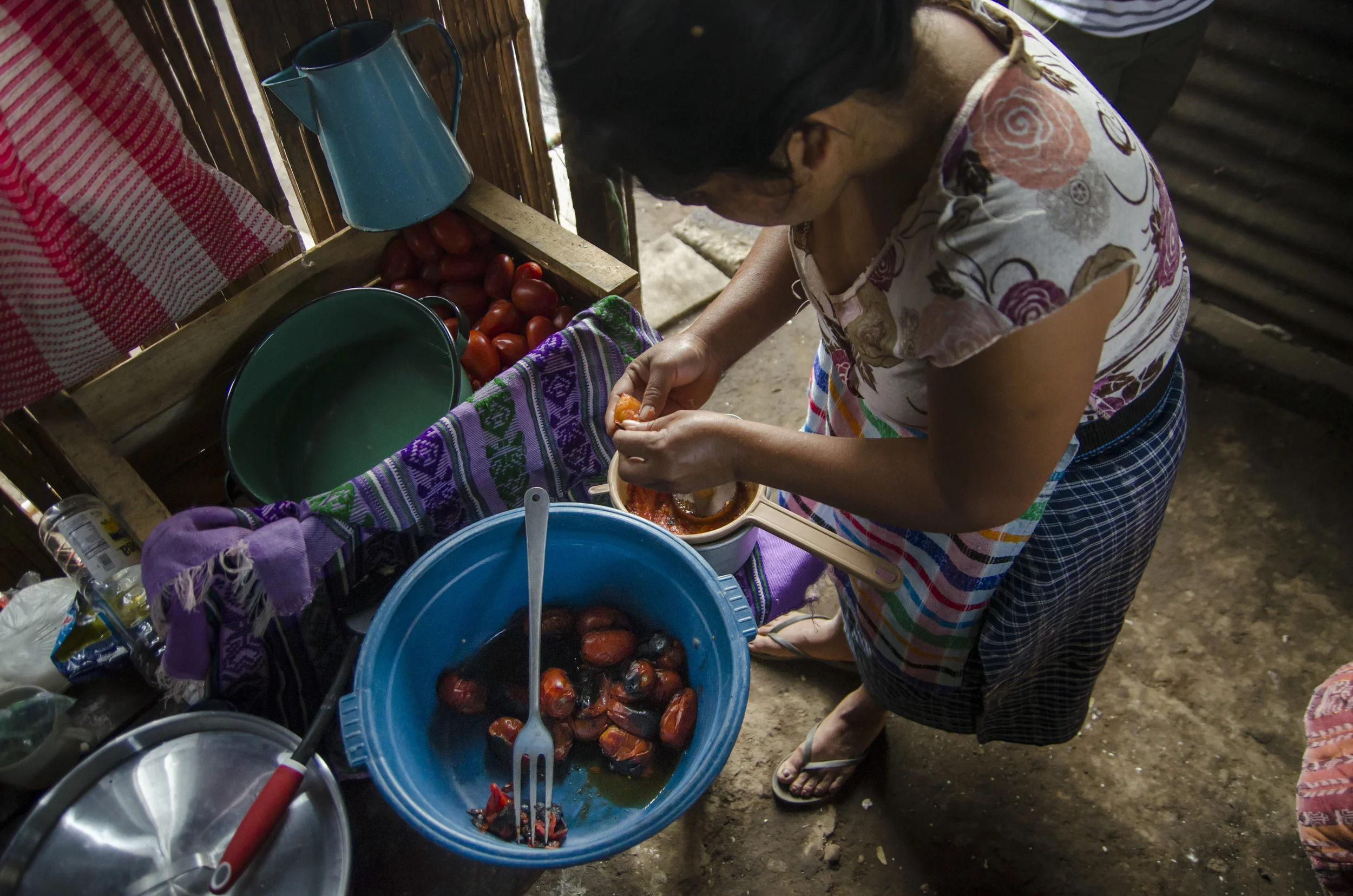 Susana Castro, Food Stand Owner