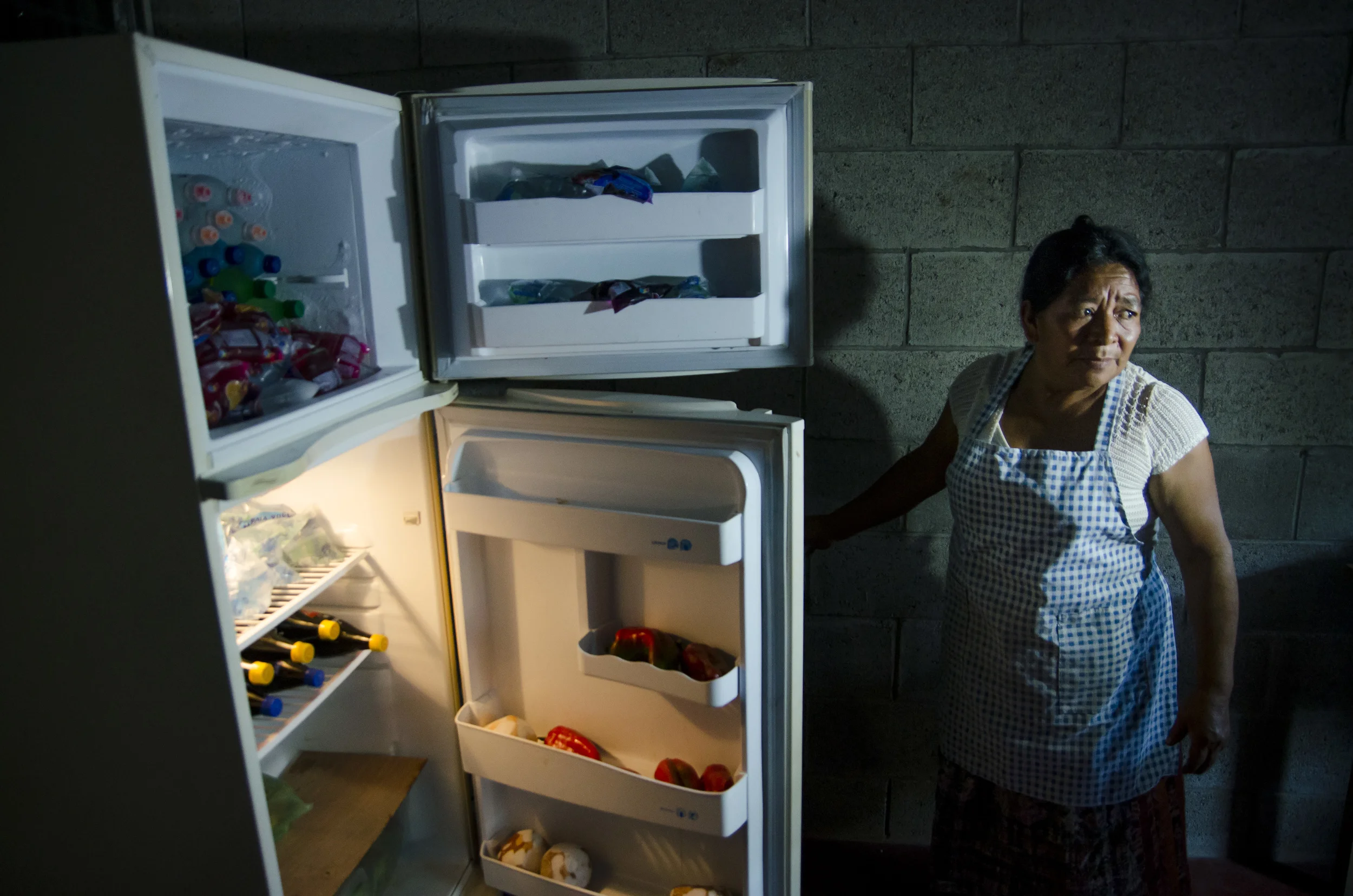 Susana Castro, Food Stand Owner