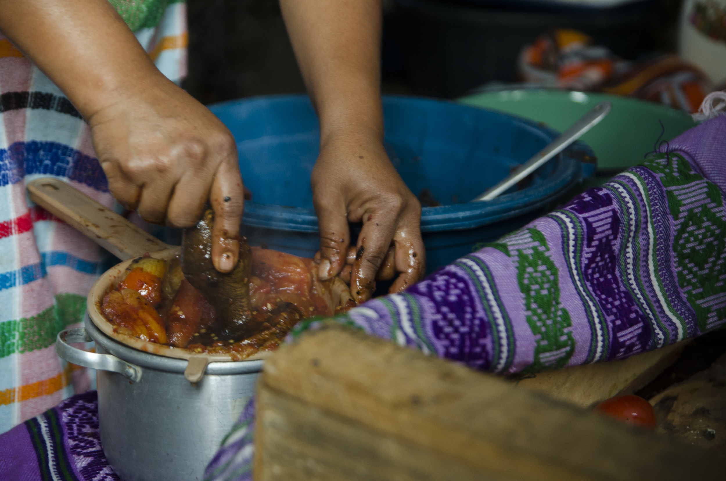 Susana Castro, Food Stand Owner