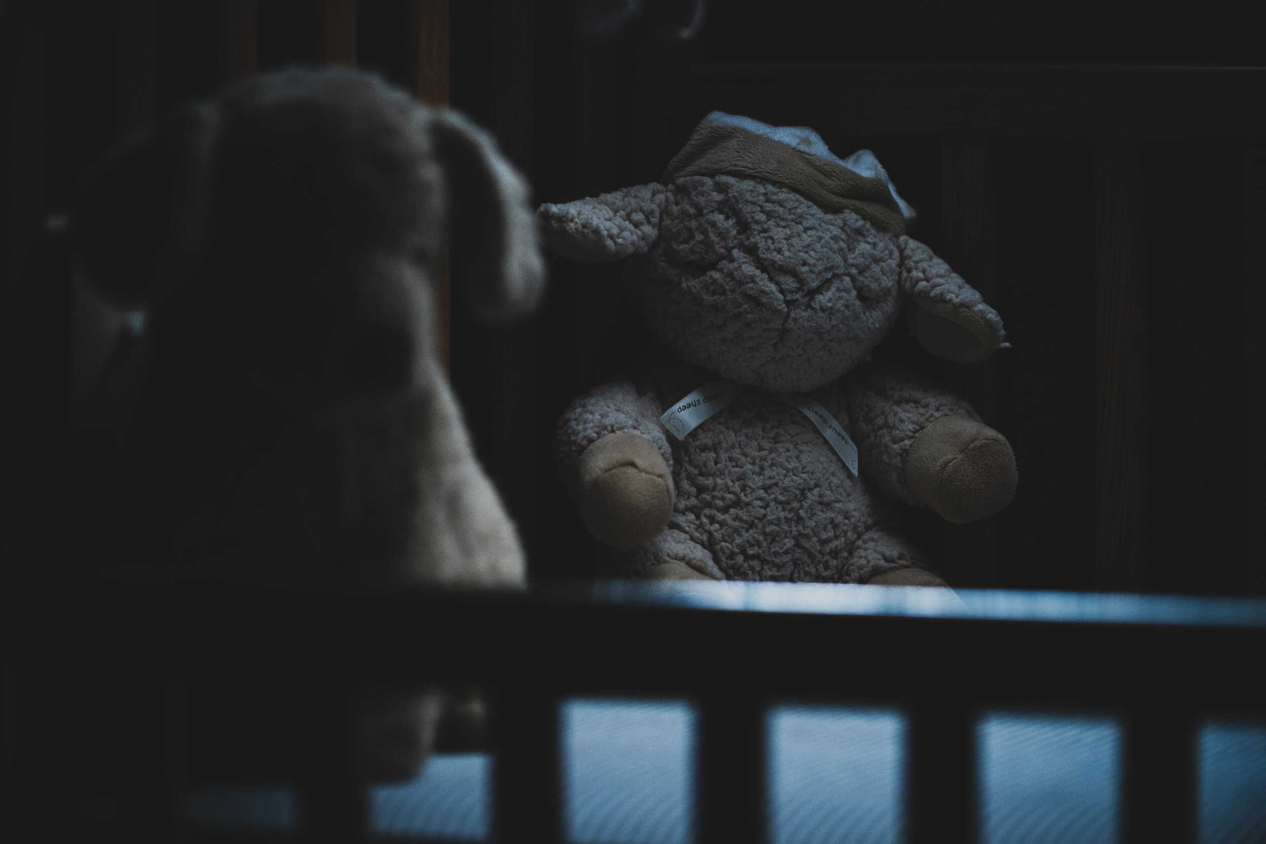 Photo taken by Jonathan Ramanujam.
