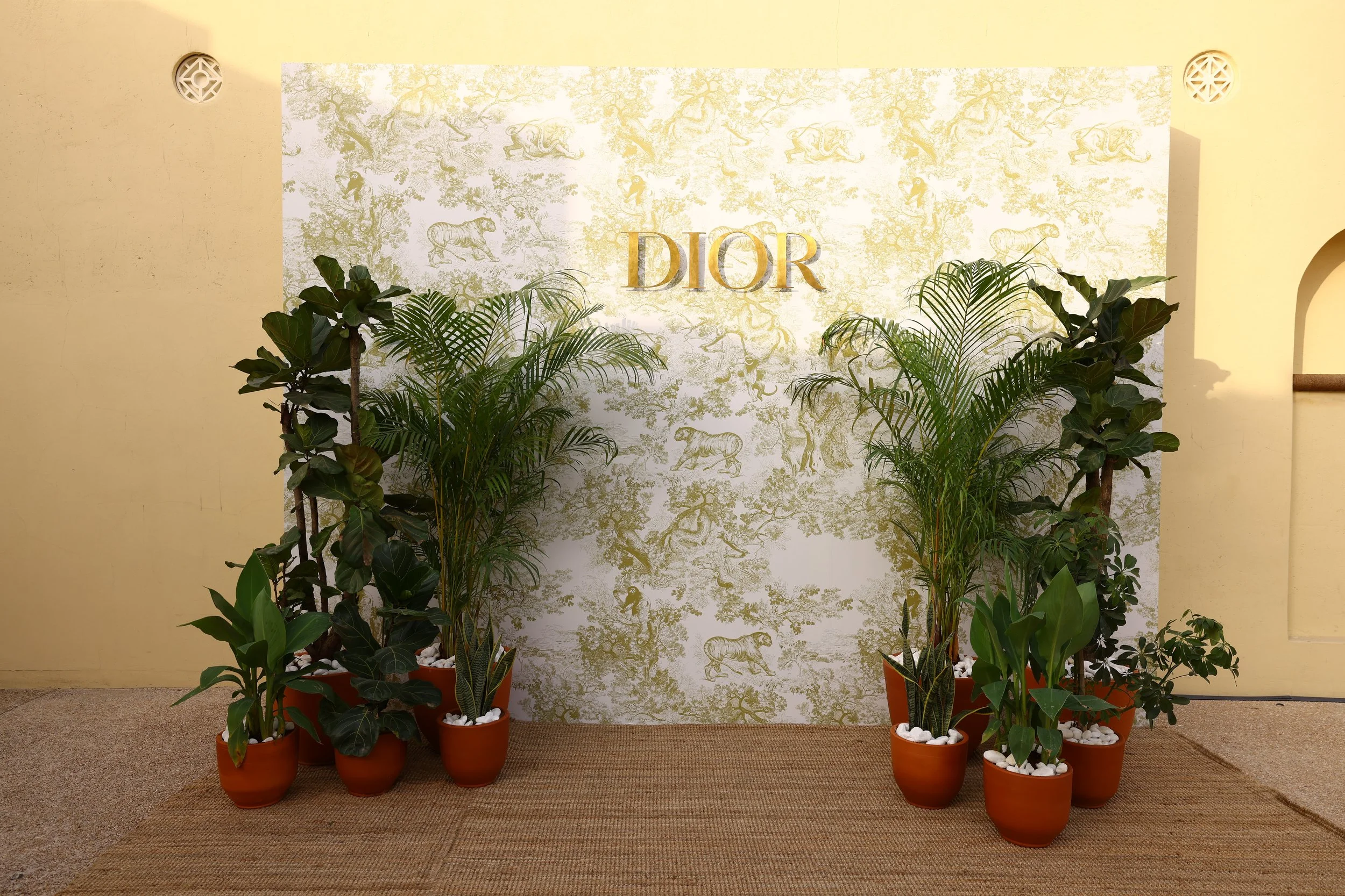 The Purple Chair Dior .JPG