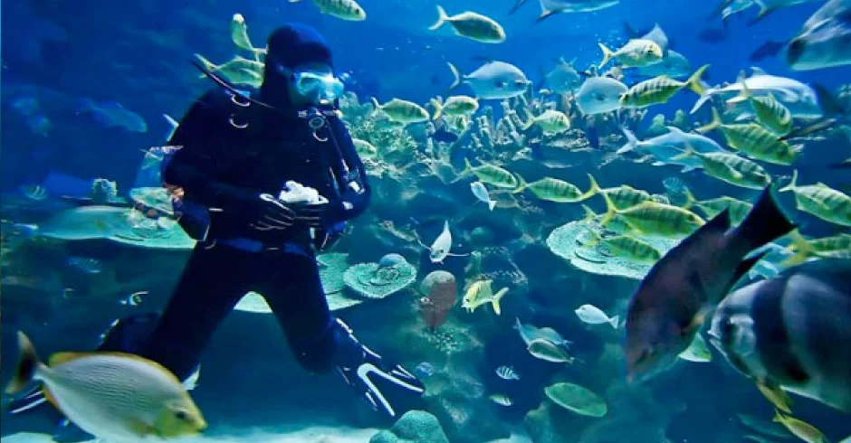 Live-aboard Scuba Adventure - Part I