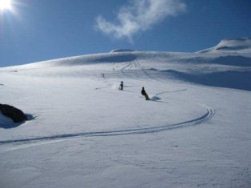 Cutting up some fresh powder.