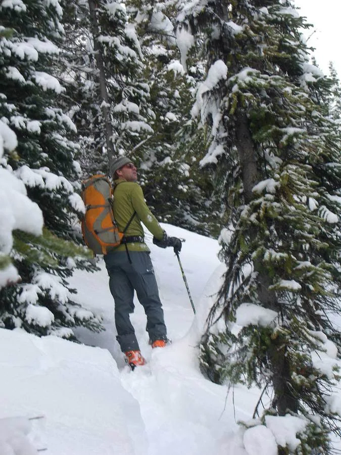 Enjoying the forest environment on the skin out.