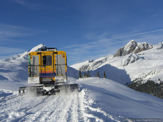 Snow cats access the most amazing terrain at Chatter Creek including the Vertebrae glacier.