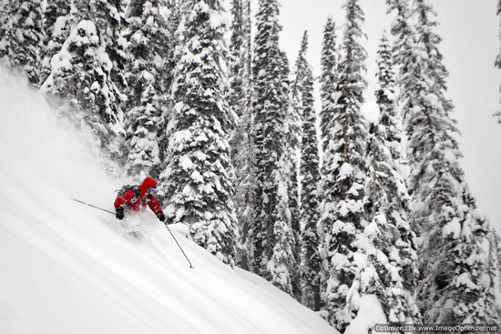 Chatter New Years Day Pow Pow.