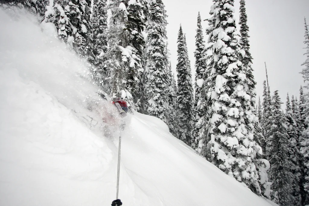 Lots of Powder!!