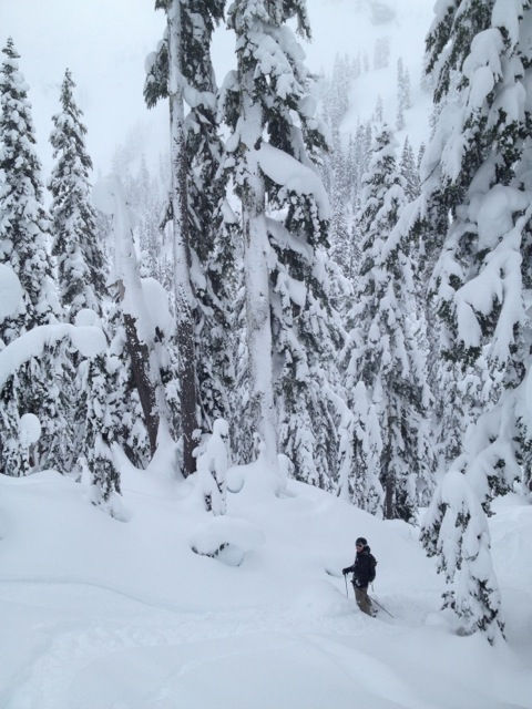 Getting a bit of side country at Mount Baker