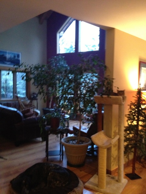Inside the Winter Creek B&B