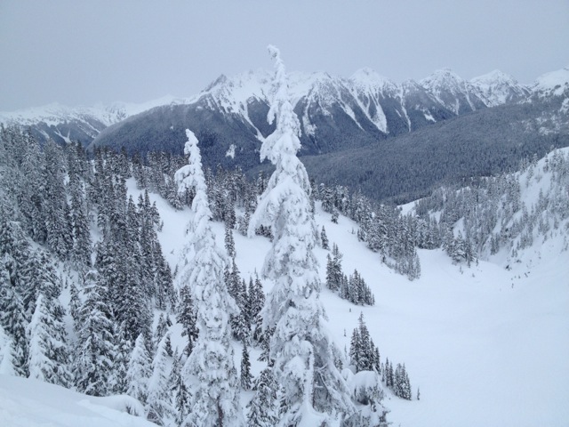 Great Side Country