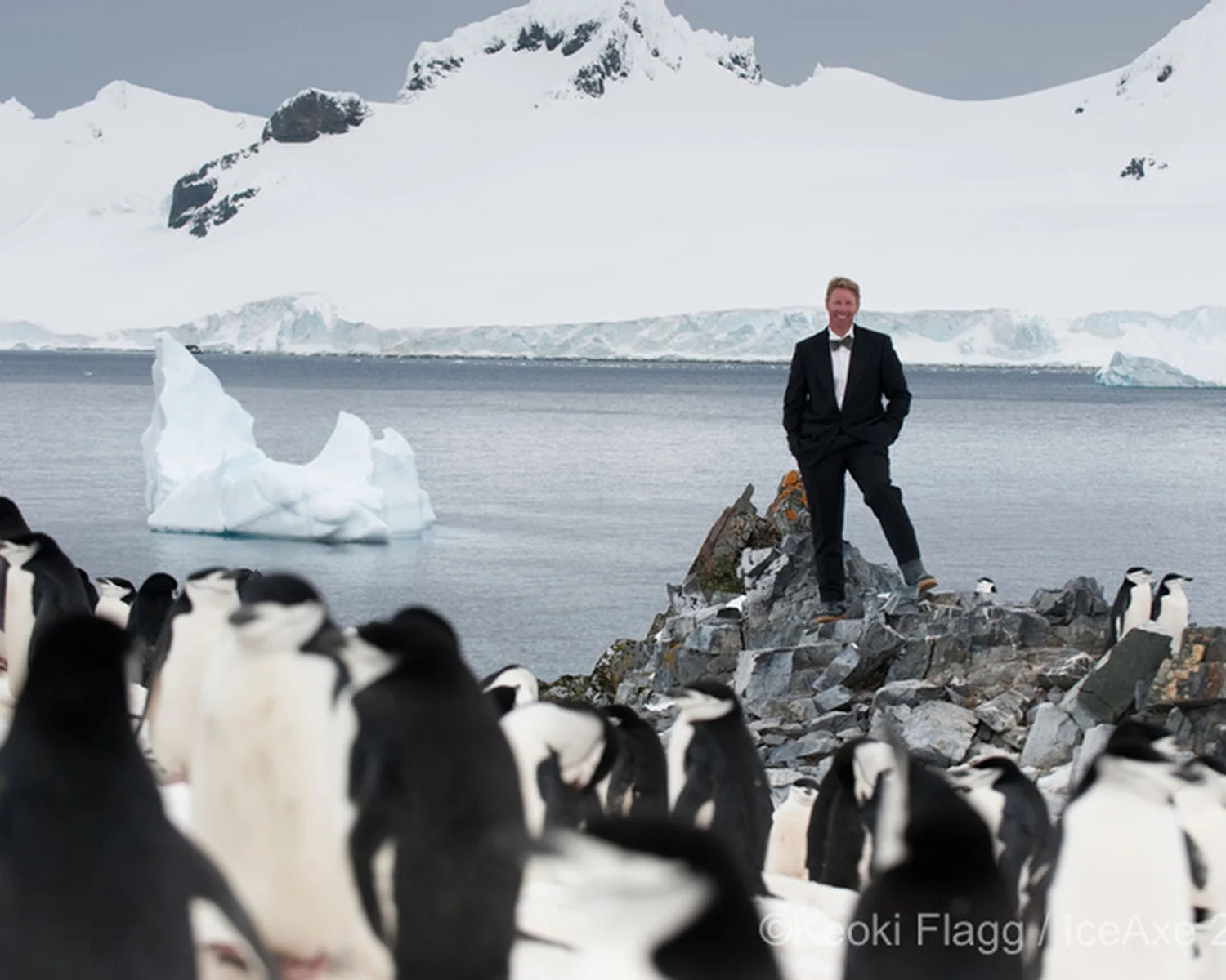 Tuxedo Touring - Antarctica Style
