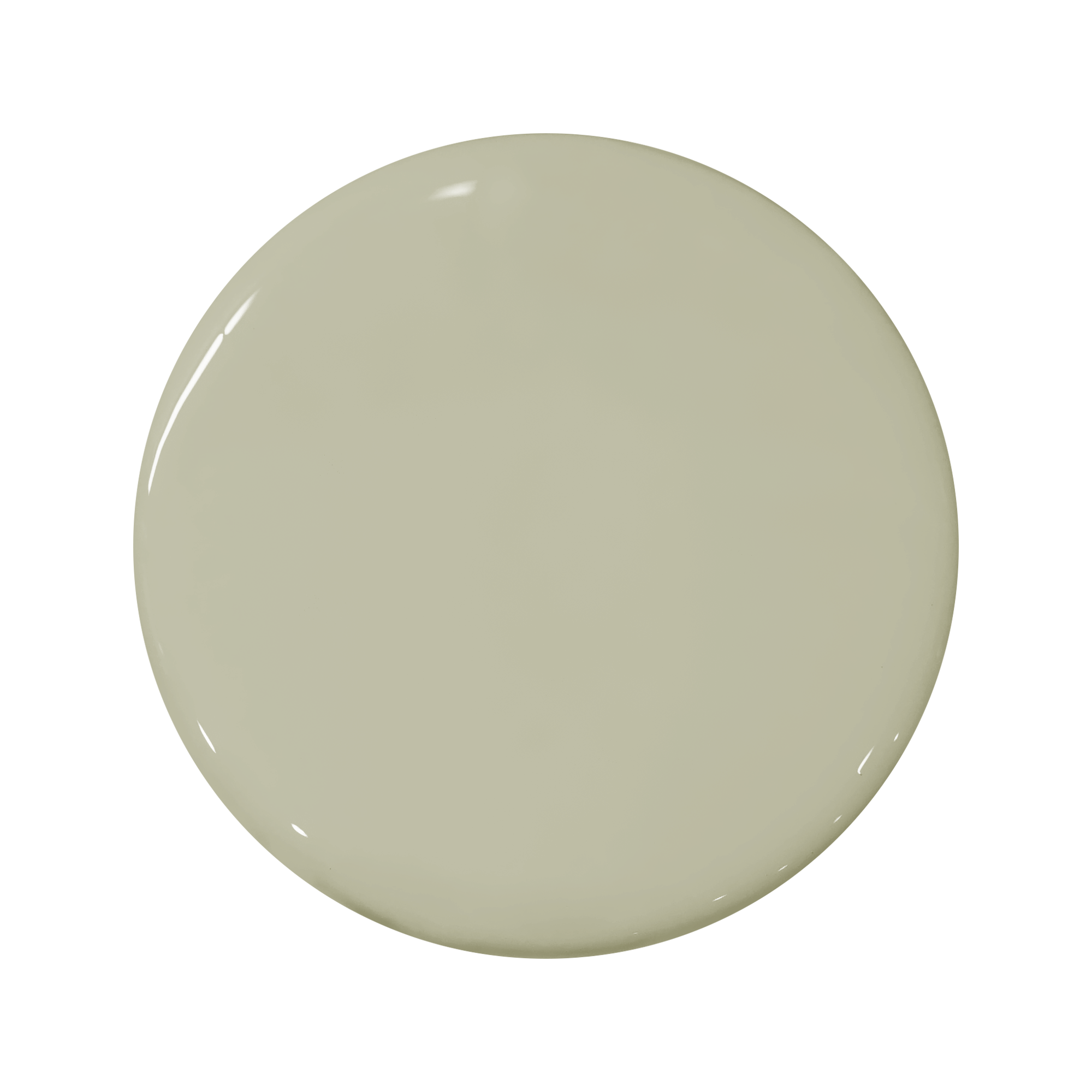PORTOLA-PAINTS-28-Ash-Gray.png