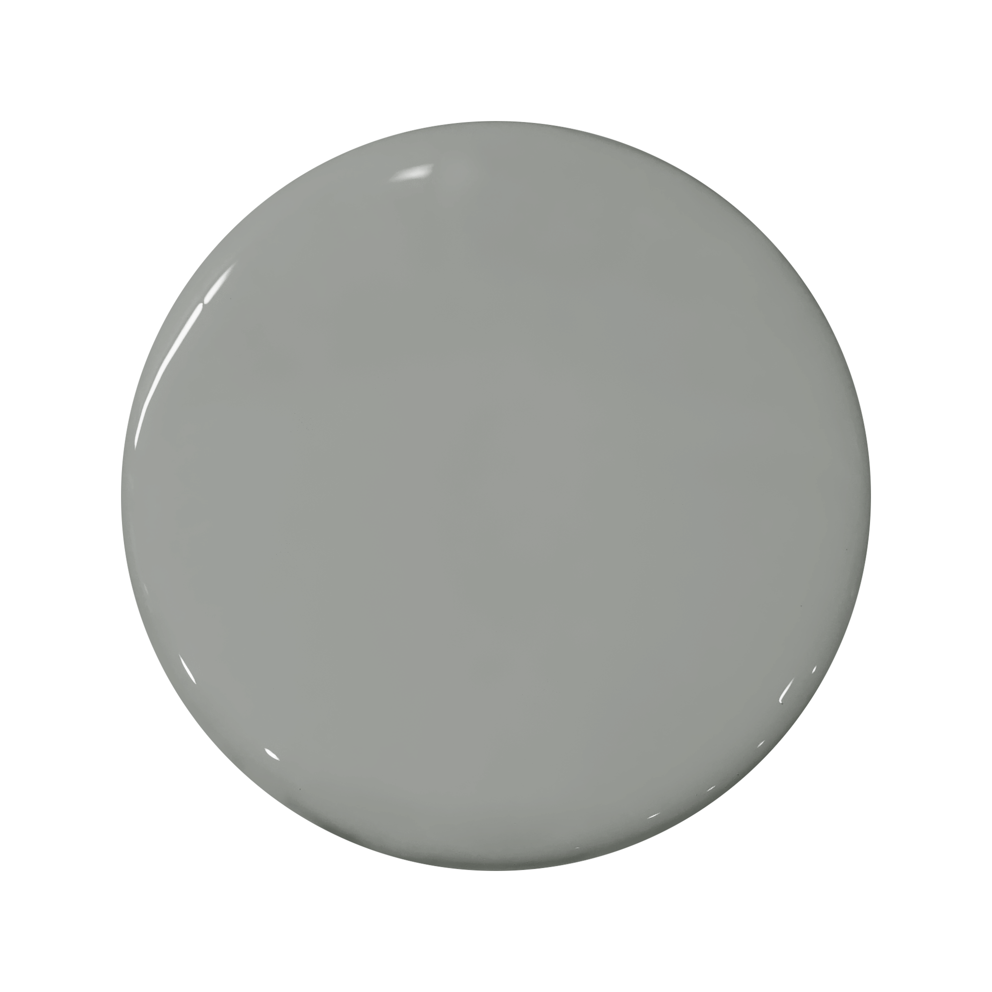 PORTOLA-PAINTS-61-Salt-Creek.png