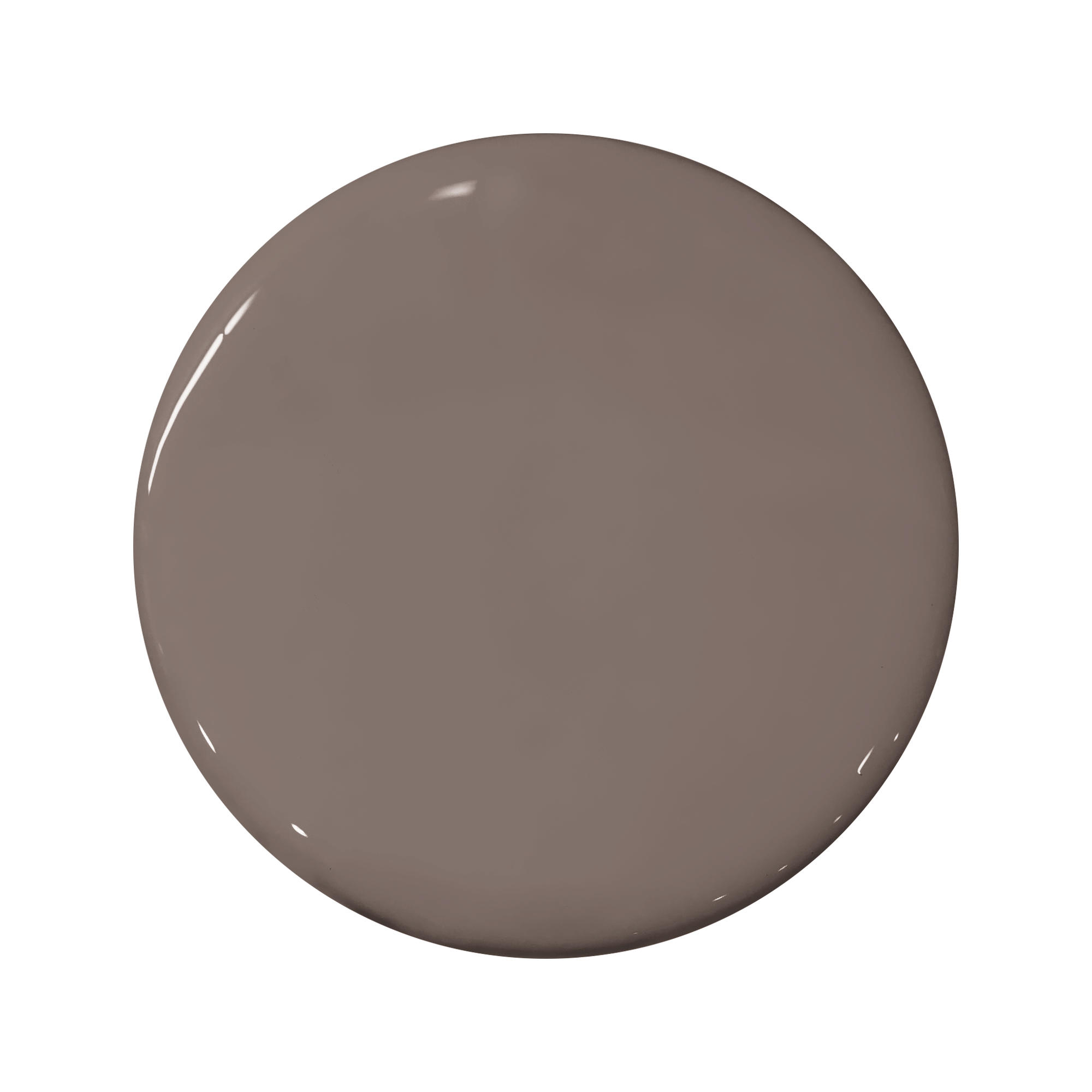 PORTOLA-PAINTS-39-Brown-Belt.png
