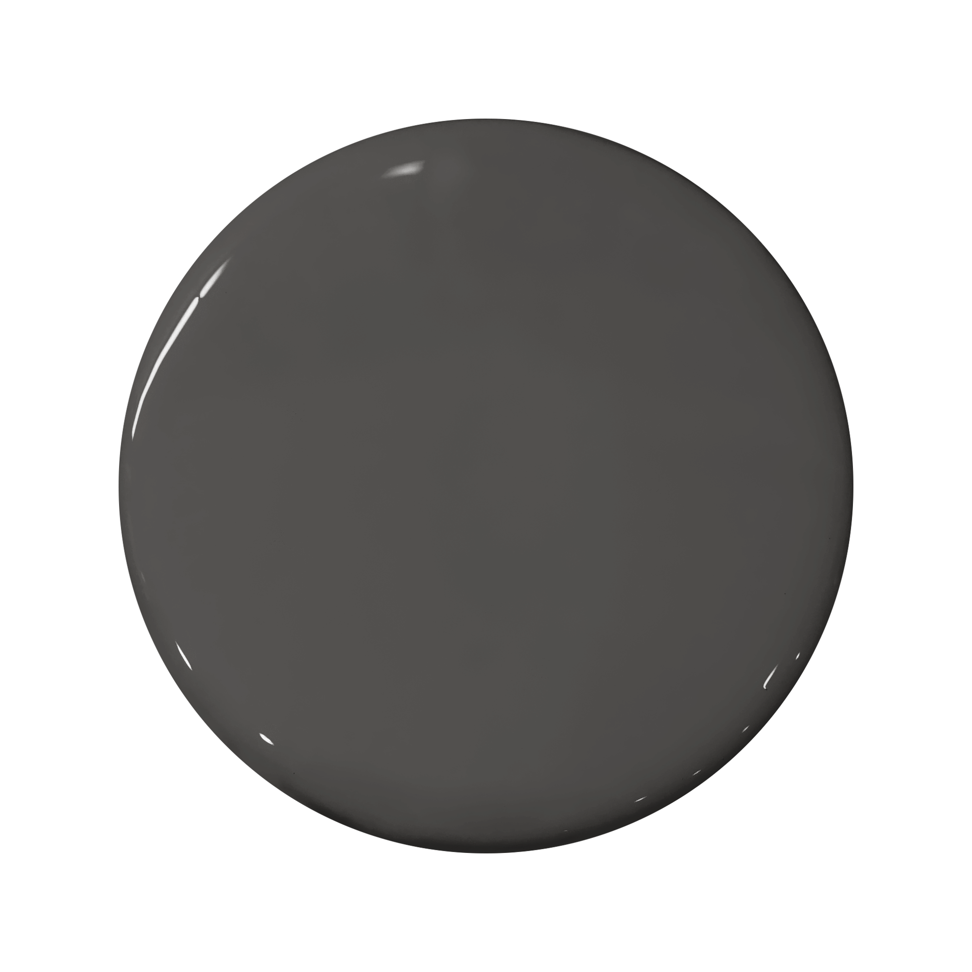 PORTOLA-PAINTS-100-Oliver.png