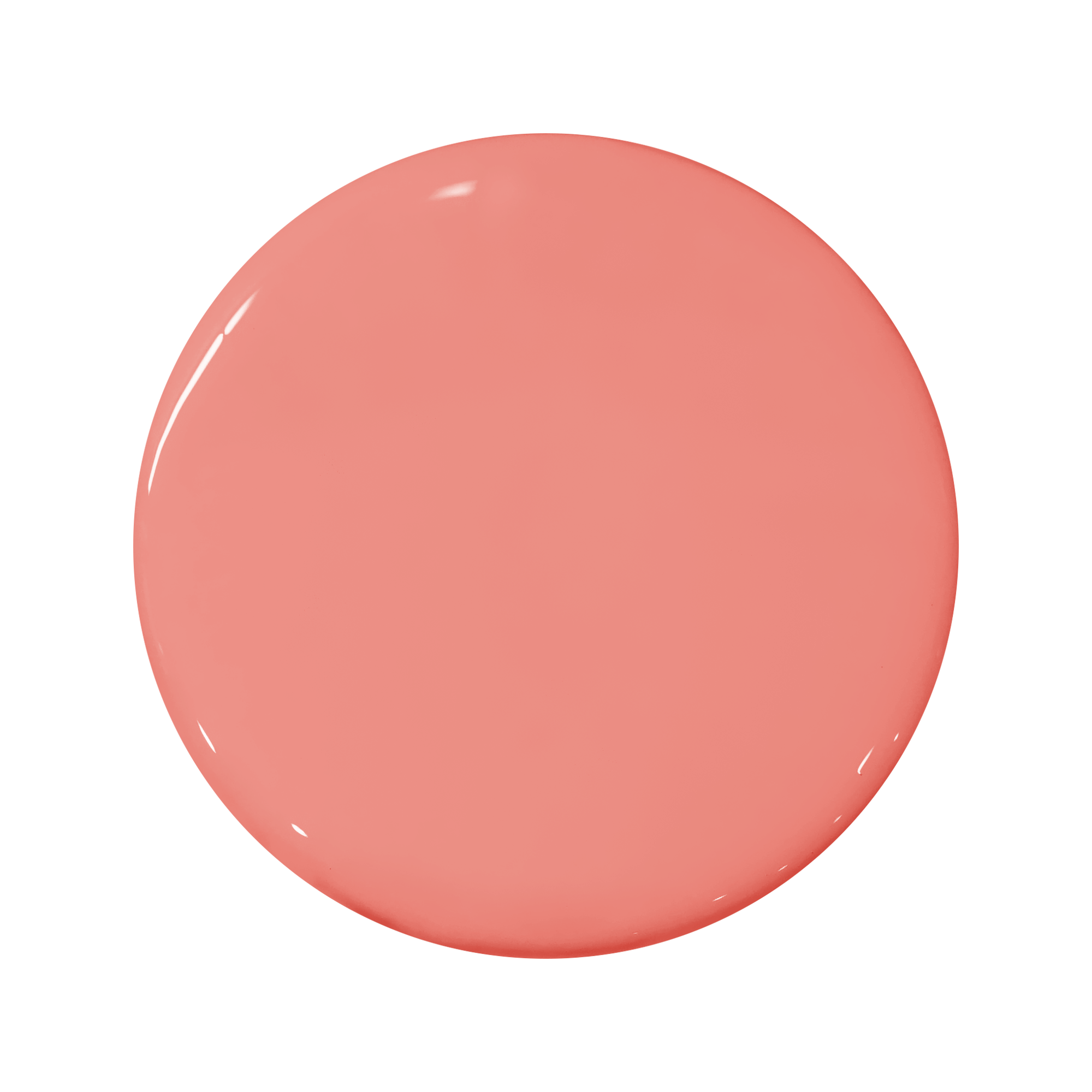 PORTOLA-PAINTS-47-Coral-Reef.png