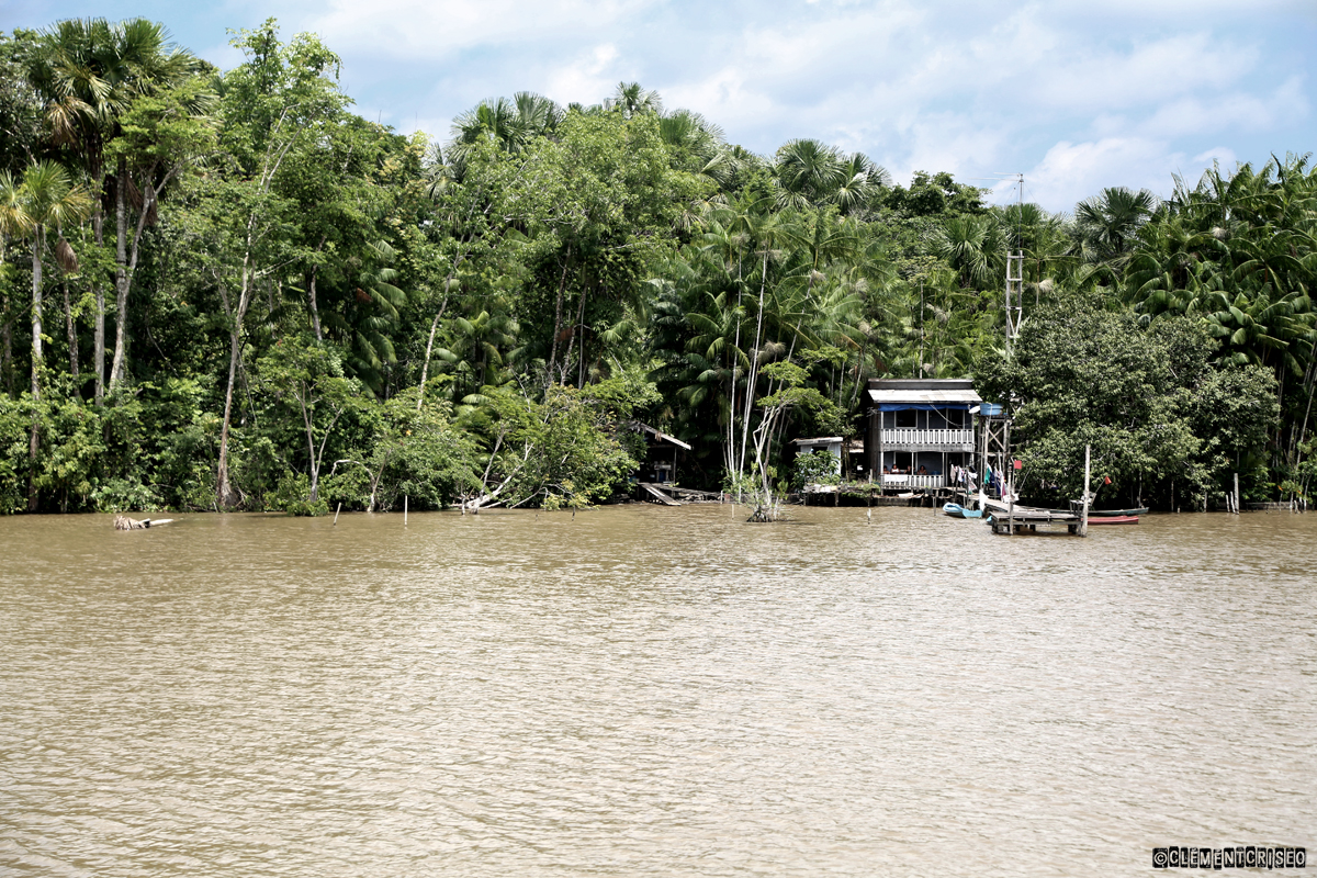 Amazonas
