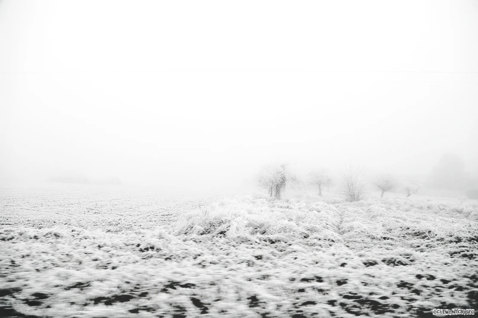 Grisaille de Campagne