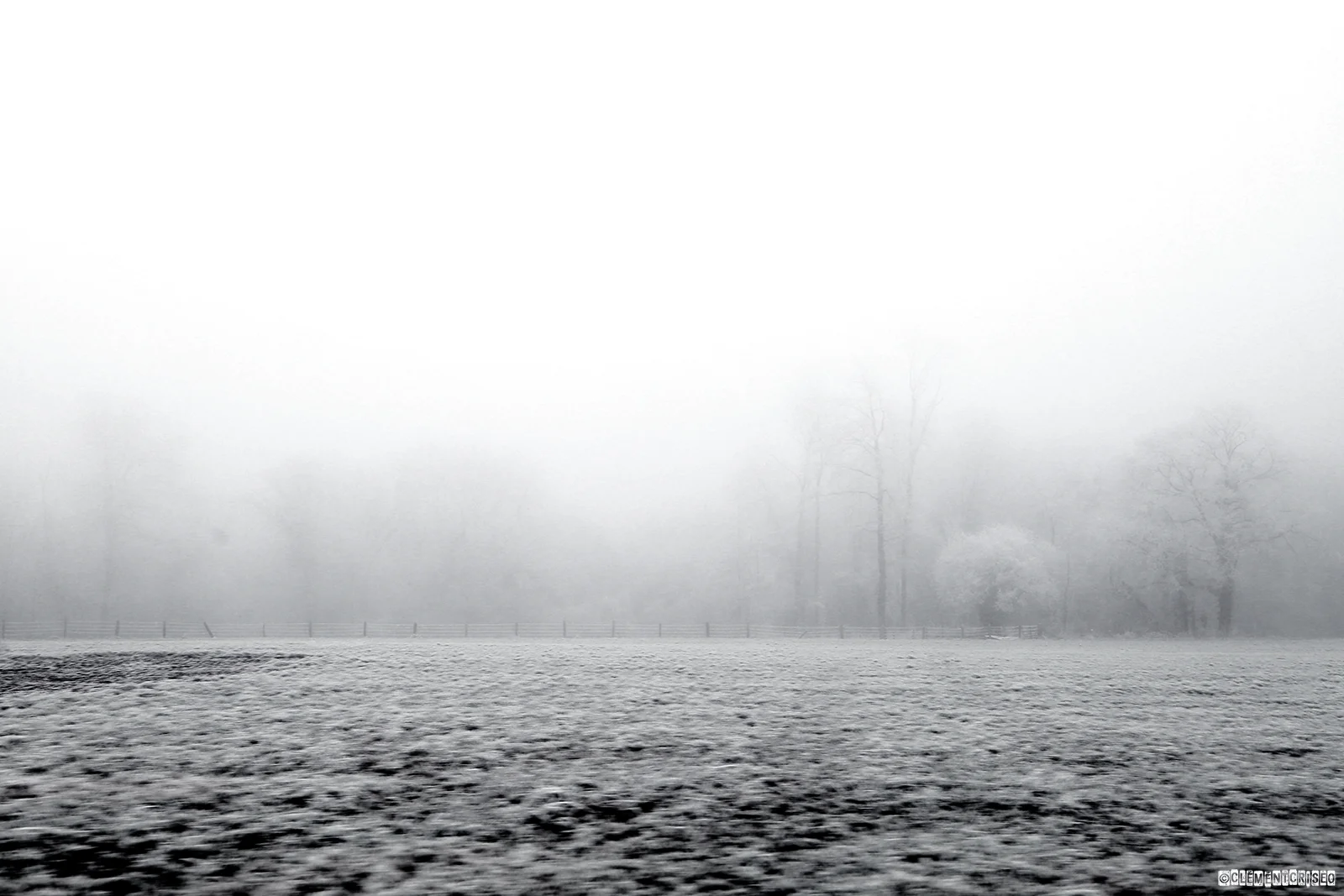 Grisaille de Campagne 2
