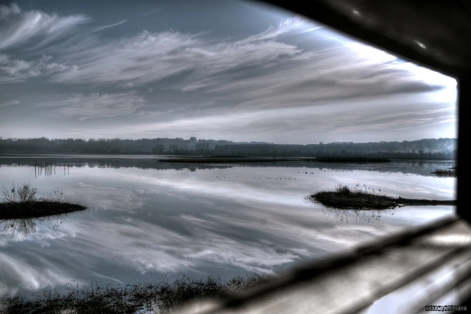 La mare aux canards